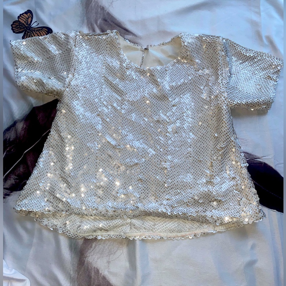 Touch of Glamour Unveiling the Alluring Silver Sequin Top for Effortless Eleganc